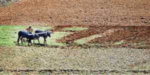 Samrakshane Crop Insurance: Empowering Farmers with Protection